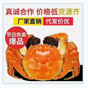 苏霸王阳澄湖大闸蟹诚招官方合伙人