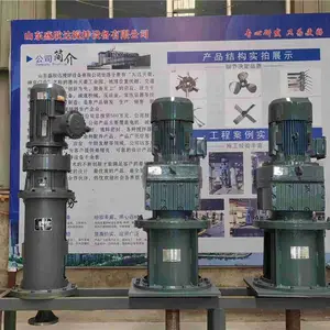 顶入式搅拌装置厂家-盛欣达搅拌-泰州顶入式搅拌装置