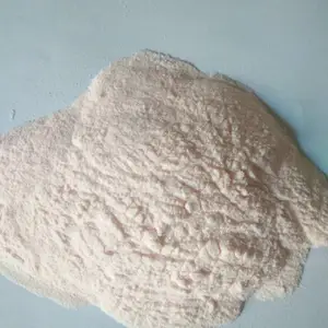 工厂现货 木瓜粉 淡黄色粉末 全水溶产品