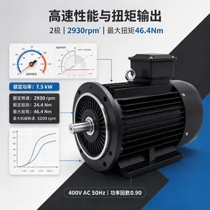 �����OEMER��Ĭ MTS3 132SB/2�����첽��� IE3 ��������������