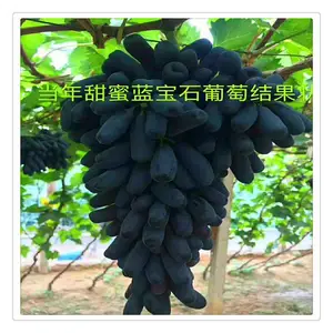 ռ�ش�������������_�½��ز���������Ǥ����