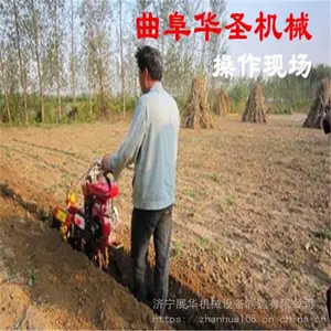 �������߲˿�������ݮ��¢�๦�ܿ�����С��