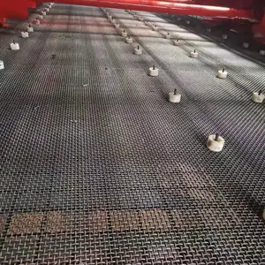 �̸�ɸ��65�̱�֯ɸ��������65��ɸ����ɸ����ĥɸ��ɸ�ֺ�
