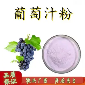 葡萄汁粉 喷雾干燥 食品级果蔬粉产地直销 国标 1kg起订