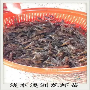 ��ˮ��Ϻ ��ˮ��ֳ�߽�Ϻ ����Ϻ��߲���