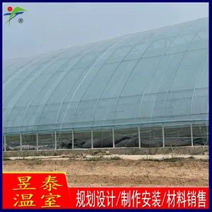 ��̩ �չ�����10�׿�ȱ���ů�� �߲���ֲ��Ĥ���� YTWSRG11034A