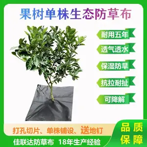 新型生态打孔切片防草布 果树单株铺设防草布 除草布地膜果园农用老化地布