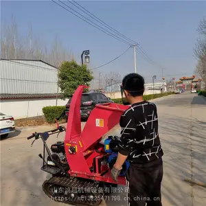 ��԰��֦�� ���Ͷ���֦������� ��԰�޼���ʪ�ƶ���֦�����