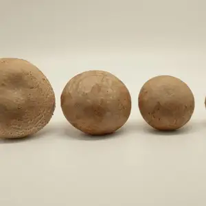 ��ɫ�л�˫�߹�������ζ��Ģ��ţ�Ź�Ӫ����ֵ��