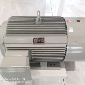 浙 江 德东电机 压缩机用电机YE3-132M-4 7.5KW 德国工艺