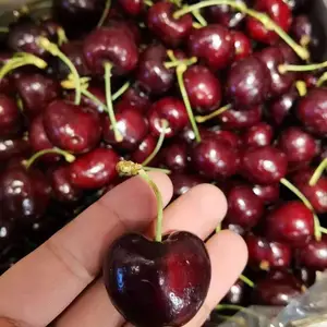 �ɣ���ˮ������Ӧ���̣�Ӧ��ʱ��ȫƷ��ˮ�������������ϣ���