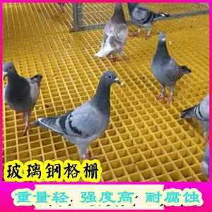 鸽舍地网排污水养殖用格栅盖板 玻璃钢鸽舍地网篦子