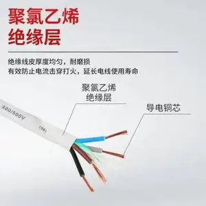 ���ϵ��� RVV 2*1.5ͭоPVC��ԵPVC������о���ɵ�Դ��