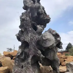 ̫��ʯ����ʯ ��©͸�御�Թ��� ����ŵ�԰�ַ羰ʯ