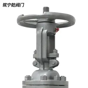 ����Ǭ ��������բ�� ̼�ַ���բ�� dn80 �ֶ�����