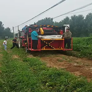 4UL-2自动墩包土豆红薯联合收获机