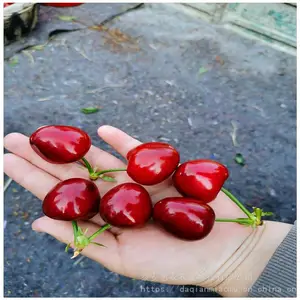 ������ֲ������ӣ���� ��������п� �������� ��ũũҵ