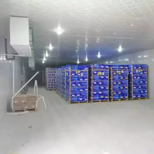 ���ն������ް� ���ް����