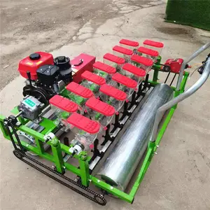 С�����Ʋ��ֻ� ũ���߲˾����� ����ҩ����ֲ��