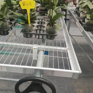 七月源头厂家靠谱报价育苗床移动苗床一平方