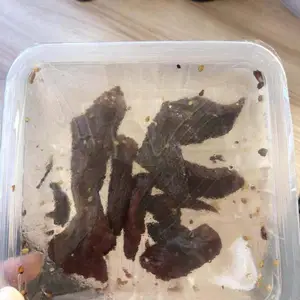 ��ʳ��з����װ�� �䵪������������װ��