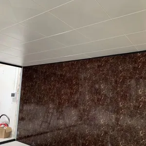 ƽ���пղ������ð�Ҷ���� ����