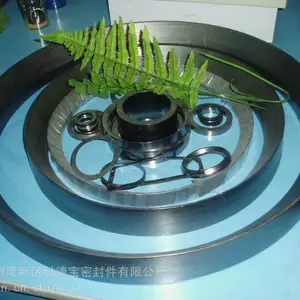 供应耐高温高压耐腐蚀柔性石墨填料环