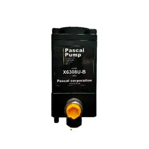 ����PASCAL������