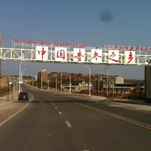 �Ĵ�ϸҶ�󶬲���ֲ���ء��󶬲�������������
