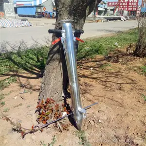 �����ڼⶥ������ ����Ϲ����������� ��������������