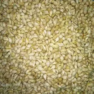 ����ȥ�ѻ� ����ȥ�ѻ� ����ȥ�ѻ� ����ȥ�ѻ� ����ȥ�ѻ�