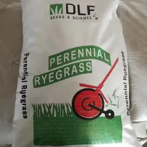 出售提木西草 牧草种子 柳叶马鞭草花籽 相思树林木籽