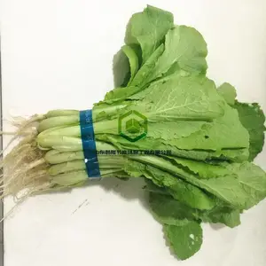 ��Ч�Զ���Ӧ���˻� opp�޽����������� �����׷���������Ƶ