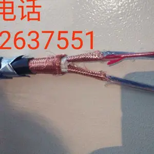 CPEV��CPEV-S����ͨ�ŵ���