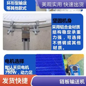 柔性链板输送机 食品加工灌装可乐雪碧输送线 厂家定制