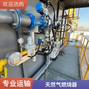 岱鼎转炉煤气油气两用SCR脱销反射炉烧嘴性价比高生产厂家加热