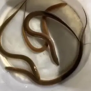 ������ �����ֻ� ˮ��ֱ�� ���ڻ����� ������ҵ�ṩ����֧��