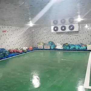 ï���ⶳ����س���������������۲�������