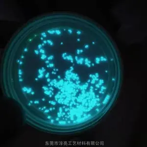 ����ҹ��� ������īӫ��� �����÷���ҹ�����