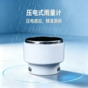 自动雨量检测仪 碧野千里压电式雨量计 BYQL-YLJ 地质灾害监测系统