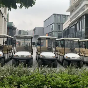 ��Զ����ʮ�����۹⳵�綯����������