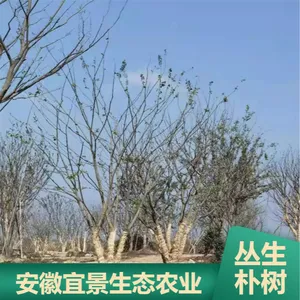 ԰���̻��Ǽܴ������� 3��5�������ٶȿ��������
