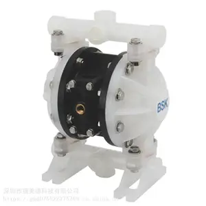 美国BSK 塑料加药泵 4分气动隔膜泵 BP15PP-PTT4-B BP15PP-P991-B