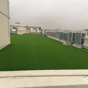 �̴�������ɫ�ײ��ʱ�PE��������ٲ�ƺ����¥����̨�����׶�԰