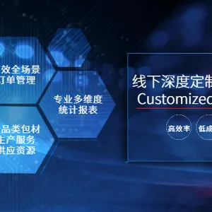 包装采购统计报表服务系统 上海岭湃科技供应