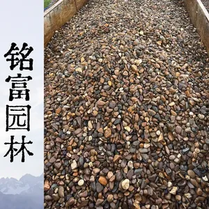 园林铺路鹅卵石 3-5公分天然原石批发 深 圳3-5公分鹅卵石污水处理