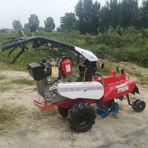 ��ͨ���Ϳ����͸����� ���С���������������� ��ݮ��¢��