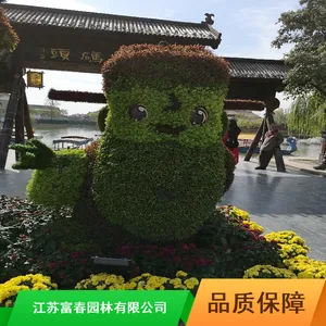 ���廨̳����_Բ�ξ������廨̳_�������廨̳�۸�