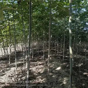 ¶���㴻���� ����ũҵ ��Ʒ���㴻�� ���س���