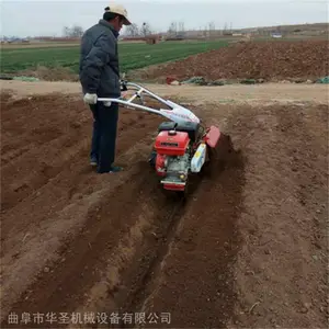 �ջ���ֲ������ ����԰����ʩ�ʿ����� ��ʥ��е